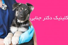 کلینیک حیوانات خانگی در لاهیجان