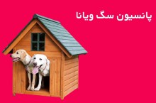 پانسیون سگ در منطقه یک تهران
